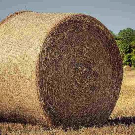 Hay Bales
